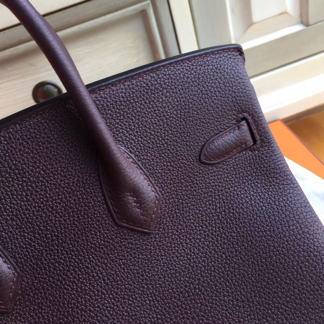 Hermes Prune  Birkin 25cm Togo Gold Hardware