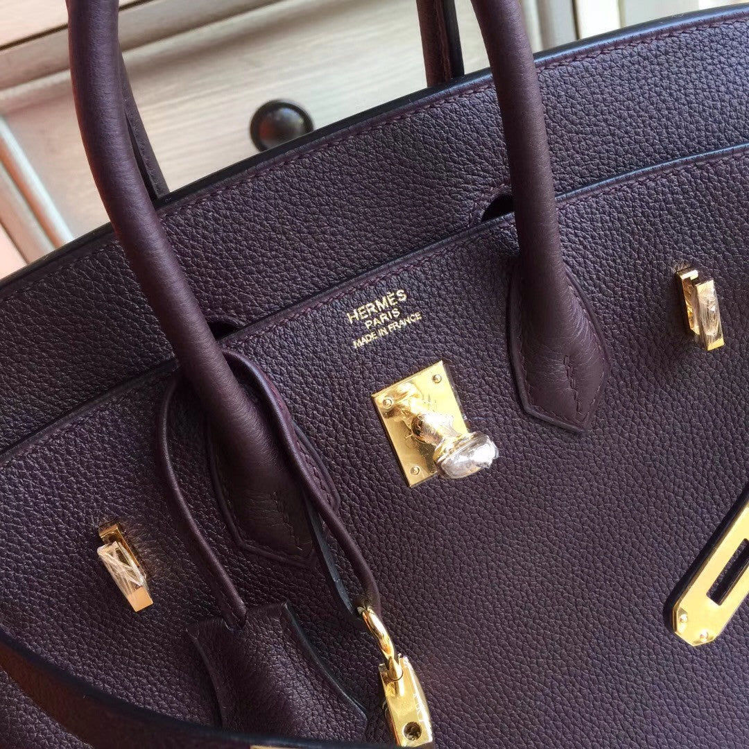Hermes Prune  Birkin 25cm Togo Gold Hardware