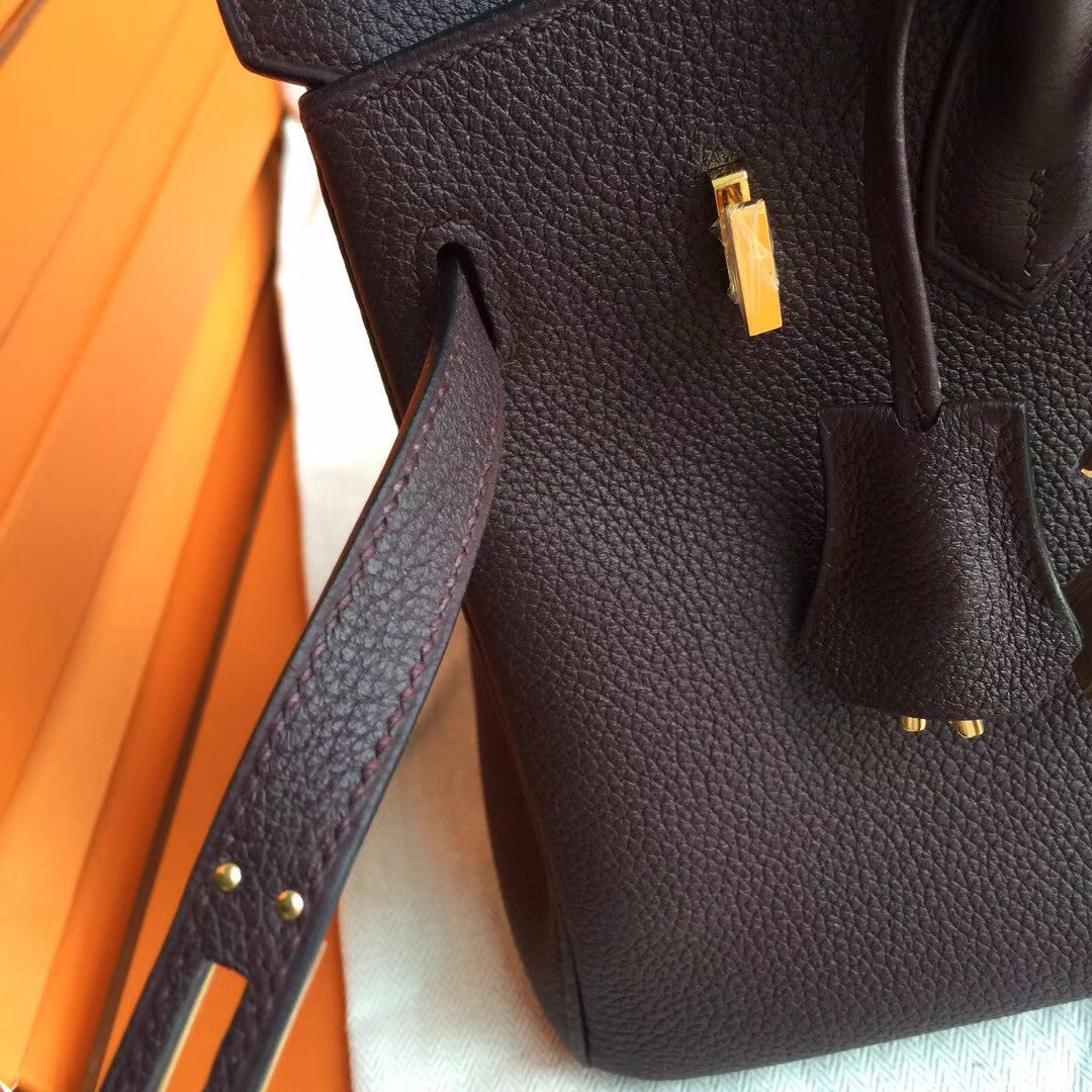 Hermes Prune  Birkin 25cm Togo Gold Hardware