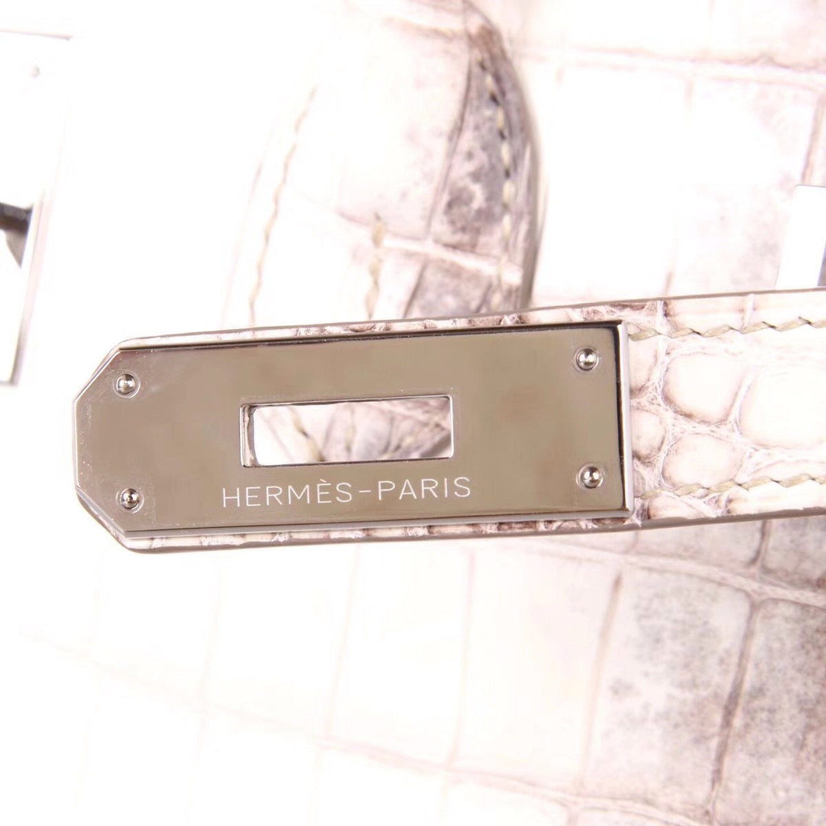 Hermes Matte Himalayan Niloticus Crocodile  Birkin bag 35cm