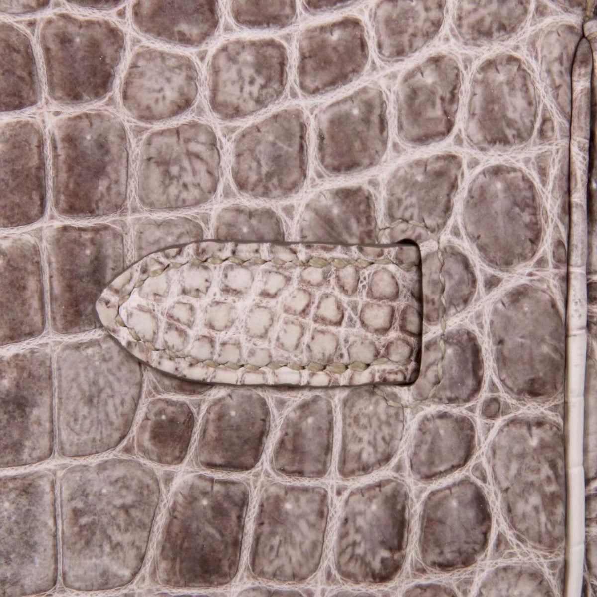 Hermes Matte Himalayan Niloticus Crocodile  Birkin bag 35cm