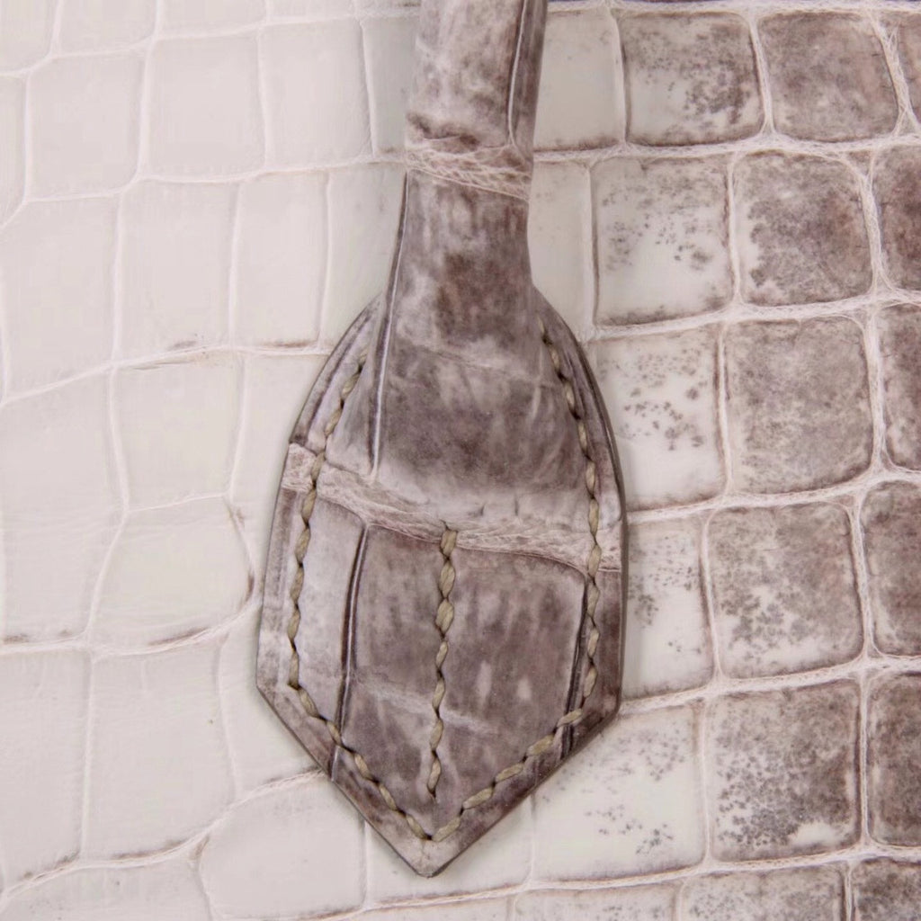 Hermes Matte Himalayan Niloticus Crocodile  Birkin bag 35cm