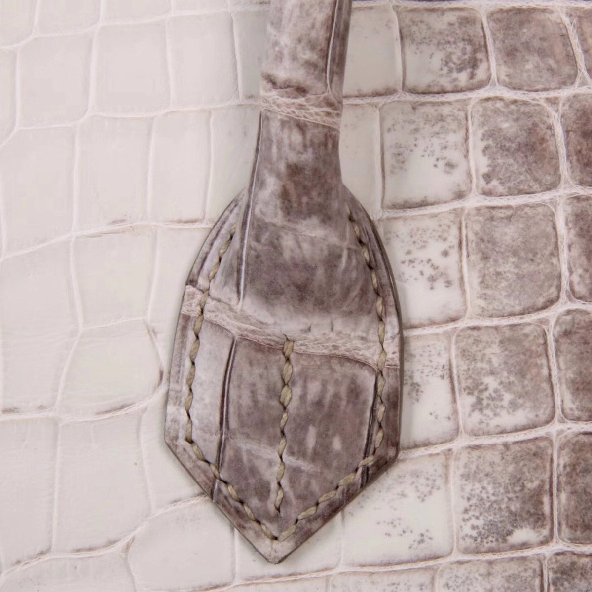 Hermes Matte Himalayan Niloticus Crocodile  Birkin bag 35cm