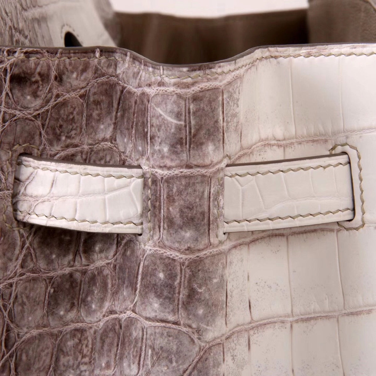 Hermes Matte Himalayan Niloticus Crocodile  Birkin bag 35cm