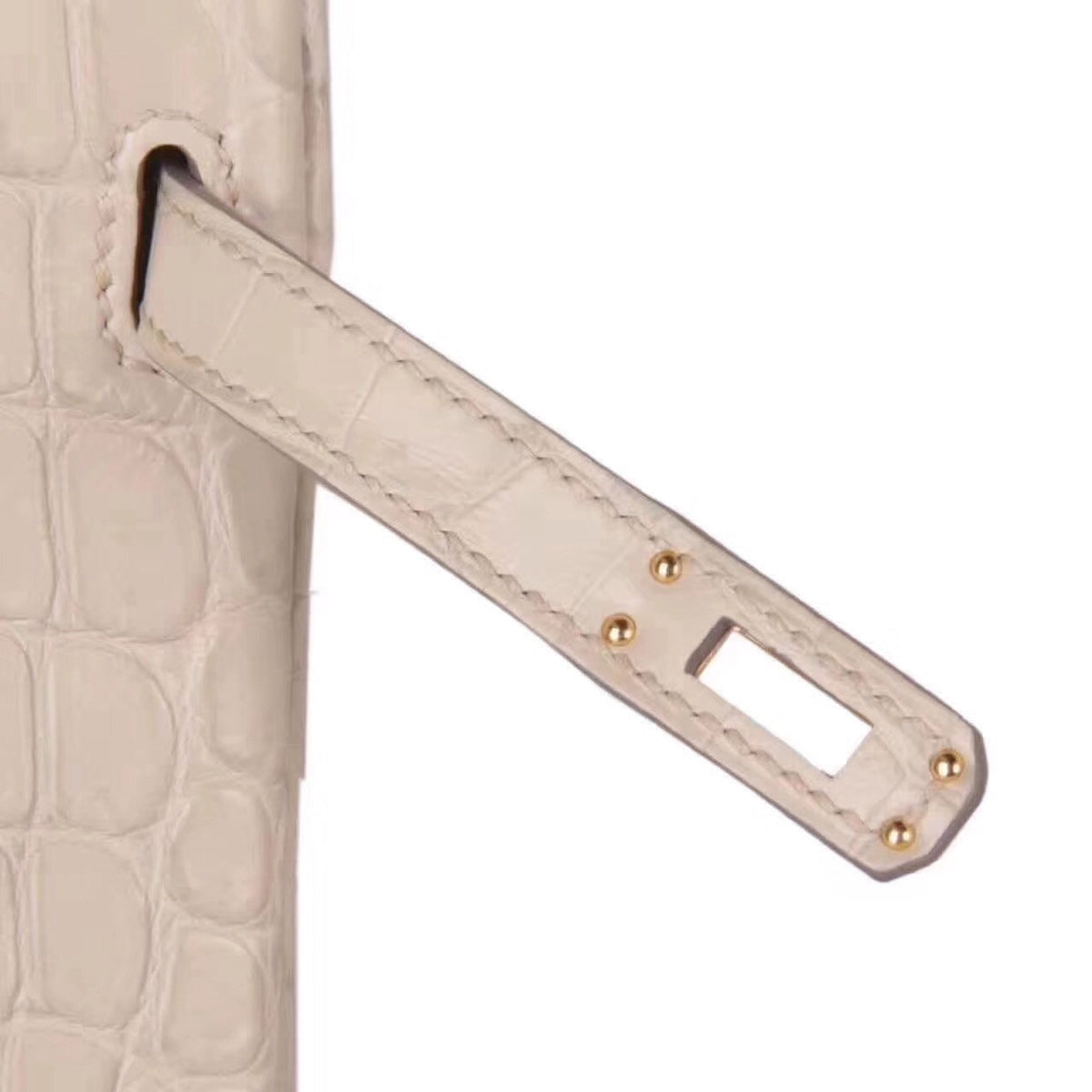 Hermes Poudre Niloticus  crocodile Birkin 35cm Gold Hardware