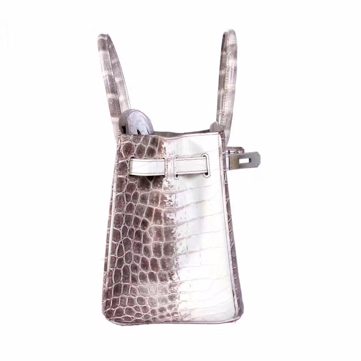 Hermes Matte Himalayan Niloticus Crocodile  Birkin bag 30 cm