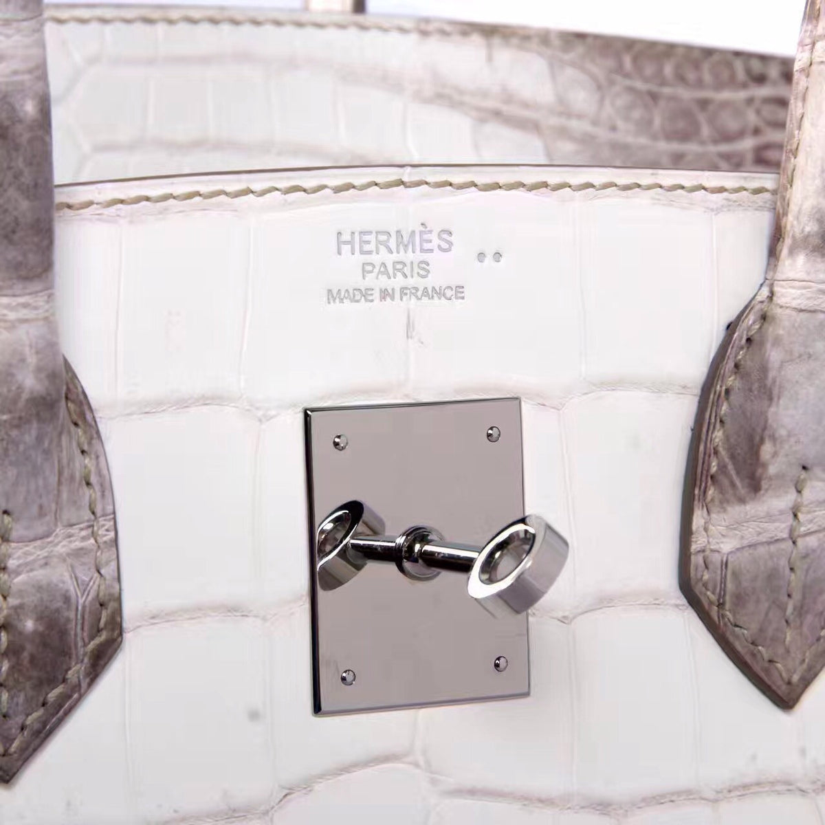 Hermes Matte Himalayan Niloticus Crocodile  Birkin bag 30 cm