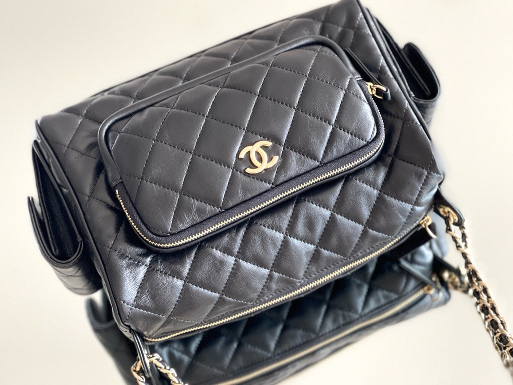 Chanel LARGE CAMERA CASE 2024