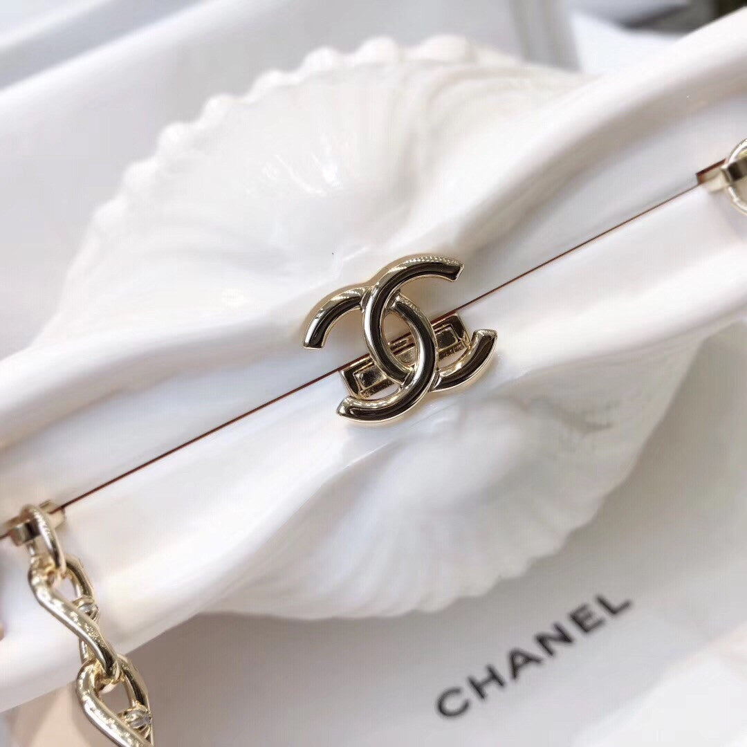 Chanel  Limited Edition shell plexiglass clutch 2019