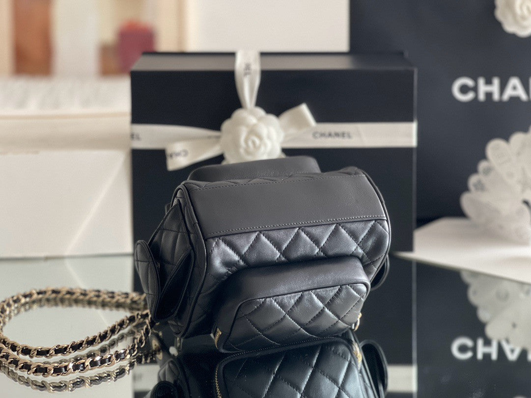 Chanel SMALL CAMERA CASE 2024