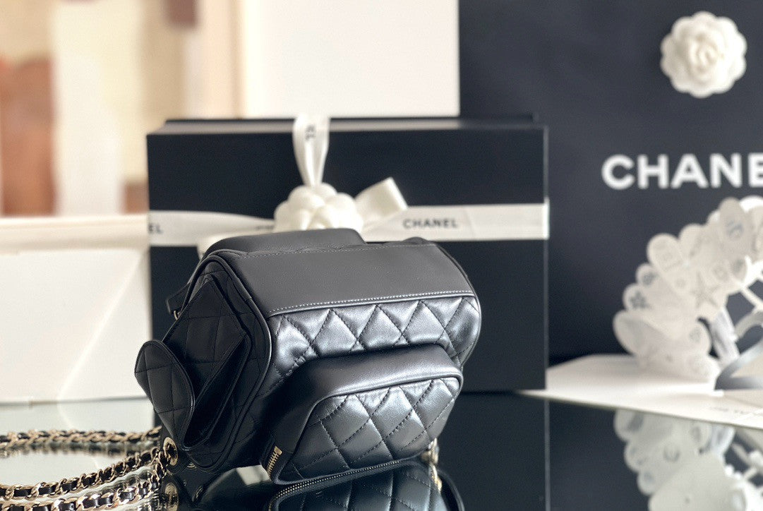 Chanel SMALL CAMERA CASE 2024
