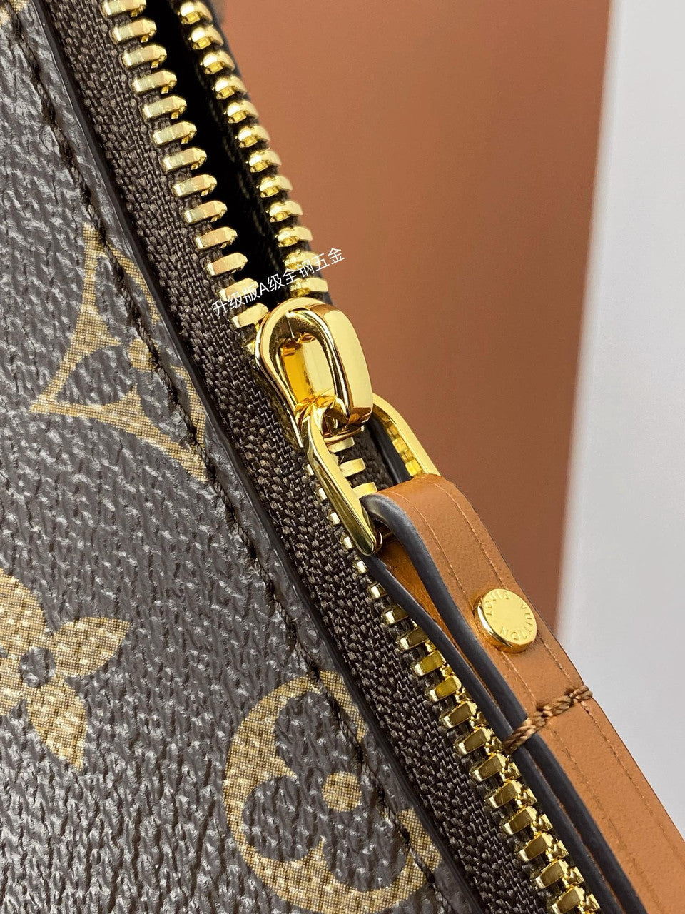 Louis Vuitton  Loop Hobo