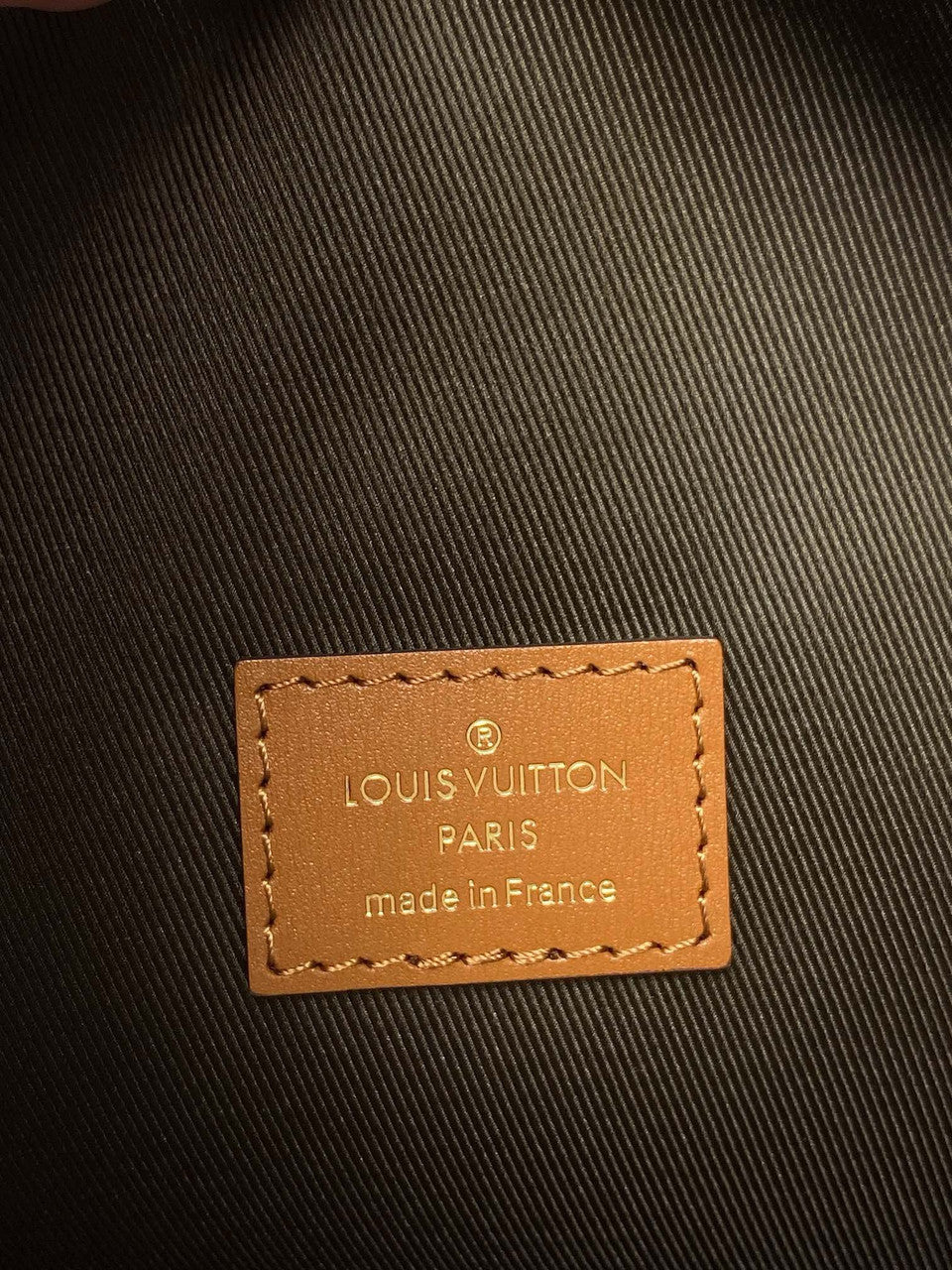 Louis Vuitton  Loop Hobo
