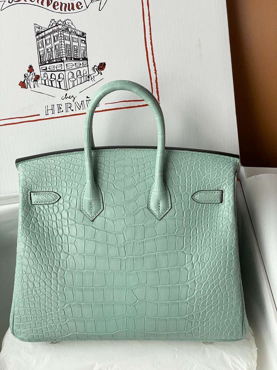 Hermes Birkin 25cm 6W Menthe Matte Alligator  with Palladium hardware