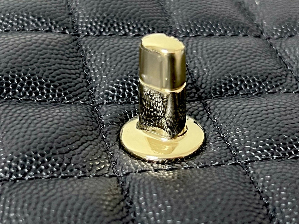Chanel MINI FLAP BAG WITH TOP LIZARD HANDLE 2024