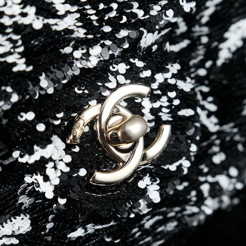 CHANEL FALL-WINTER 2024/25 PRE-COLLECTION SEQUINS FLAP BAG