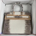 Hermes Matte Himalayan Crocodile Niloticus Birkin bag with 18-karat white gold and diamond