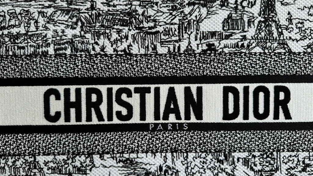 Christian Dior Medium Dior Book Tote  White and Black Paris Allover Embroidery
