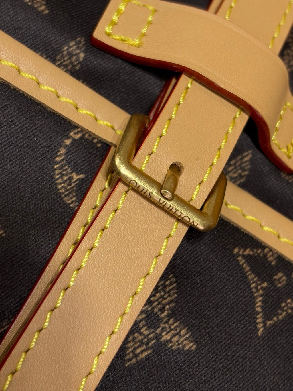 LV Jet Lag Bag MM - front buckle detail