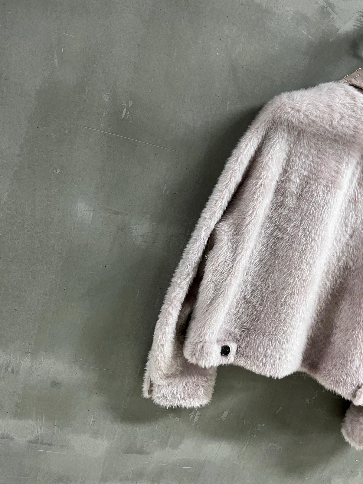 Bottega Veneta Plush Fur Jacket - IMG_3927.jpeg