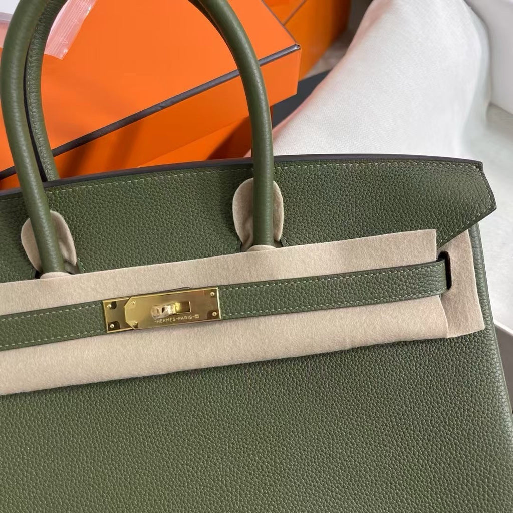 Hermès Birkin 35 cm Canopee Togo Leather Gold Hardware Hermes