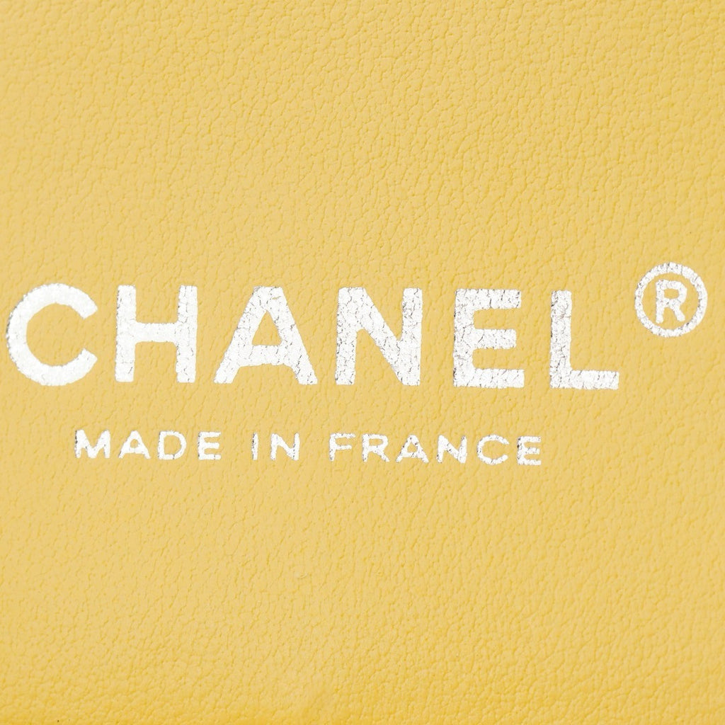 CHANEL MINI FLAP BAG WITH RESIN TOP HANDLE