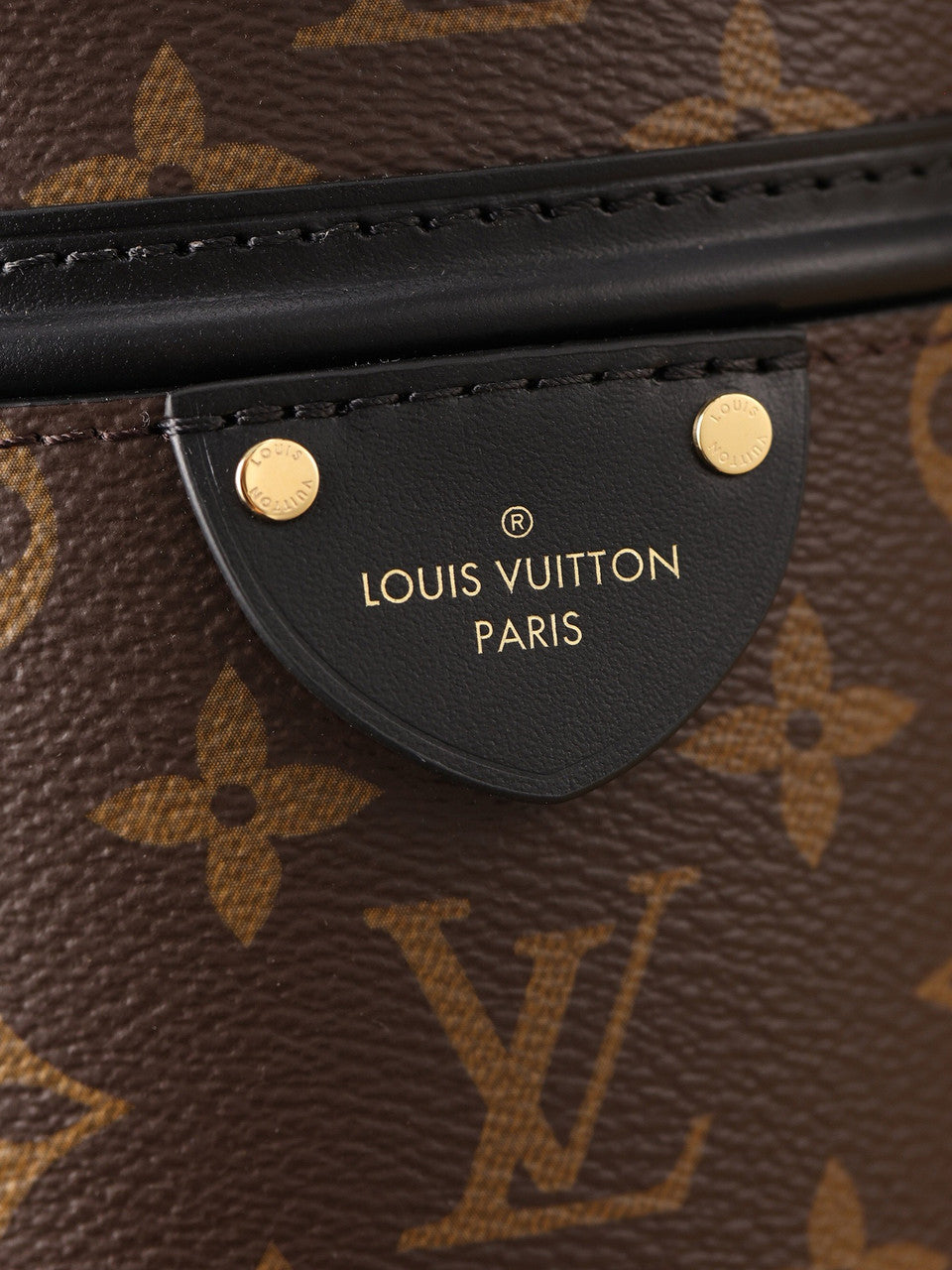 Louis Vuitton 83480 Canoé Bucket Bag