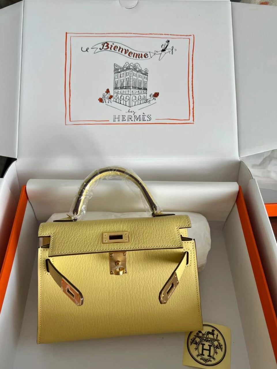 Hermès Jaune Possin Mini Kelly II Chevre  Mysore Leather Gold  hardware