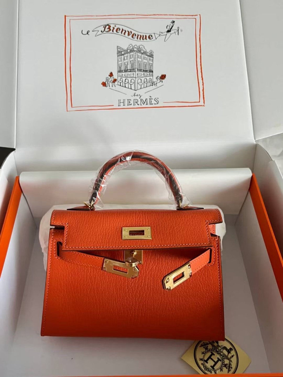 Hermès Orange Mini Kelly II Chevre  Mysore Leather Gold  hardware