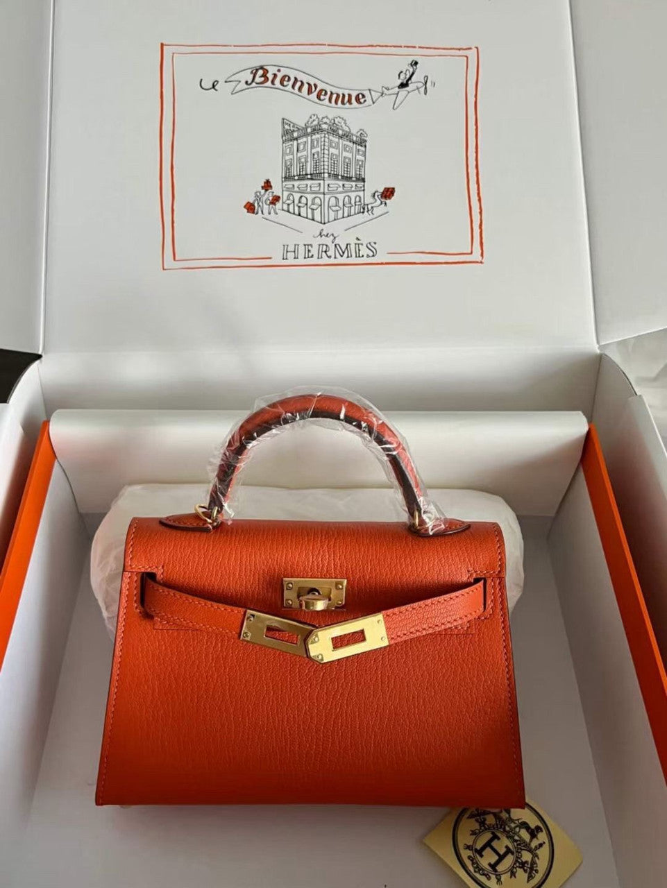 Hermès Orange Mini Kelly II Chevre  Mysore Leather Gold  hardware