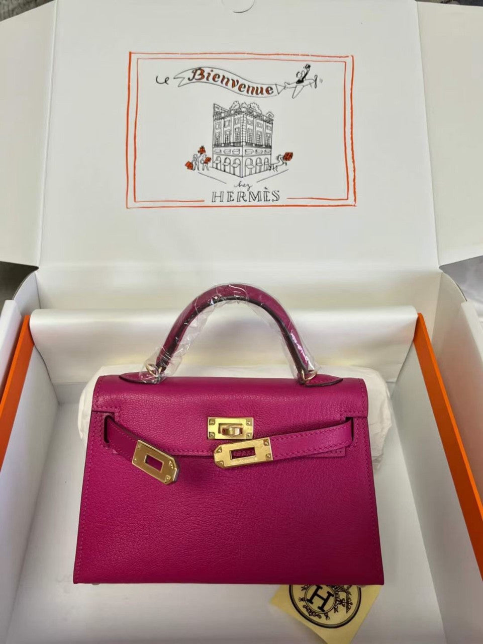 Hermès Rose Pourer Mini Kelly II Chevre  Mysore Leather Gold  hardware