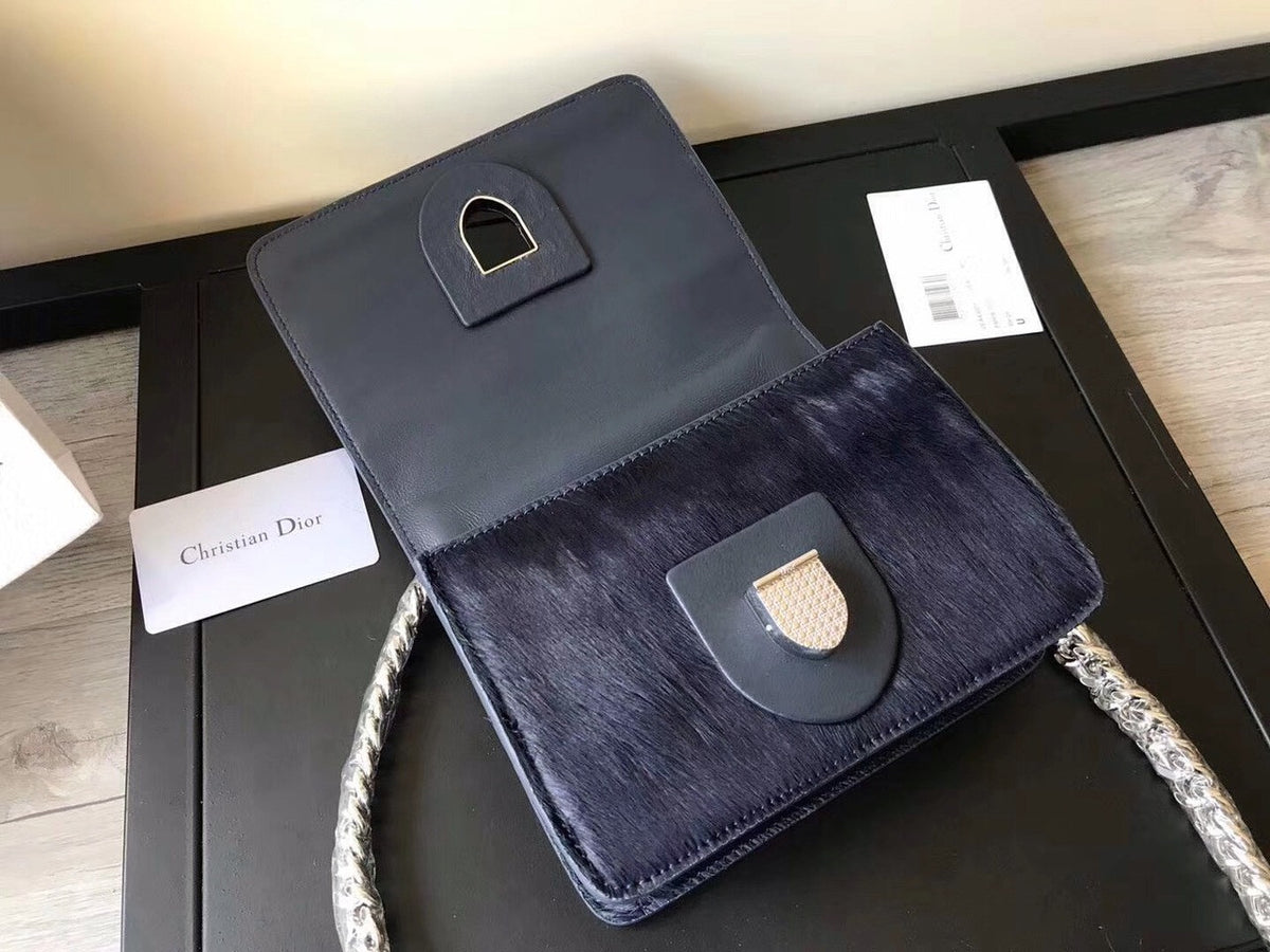 Christian Dior Diorama Club bag with horse hair VIP Exclusive edition
