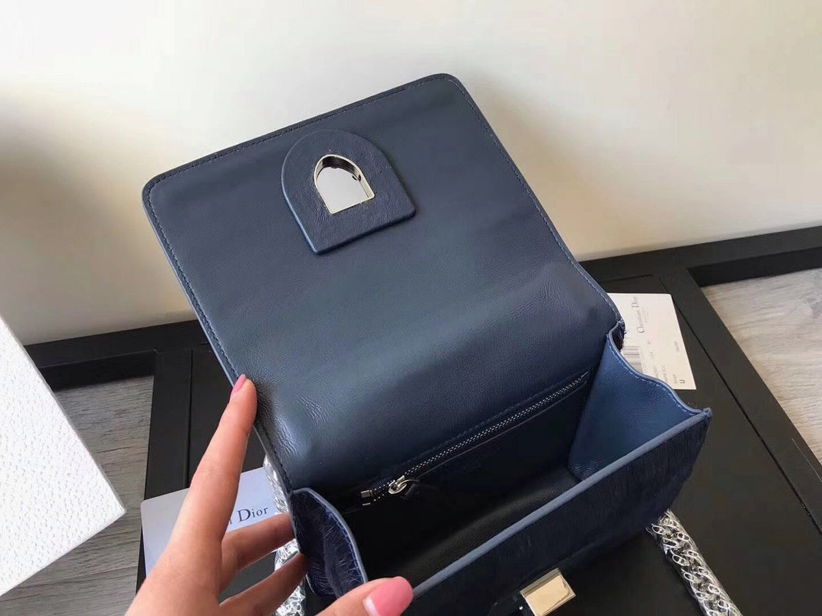 Christian Dior Diorama Club bag with horse hair VIP Exclusive edition
