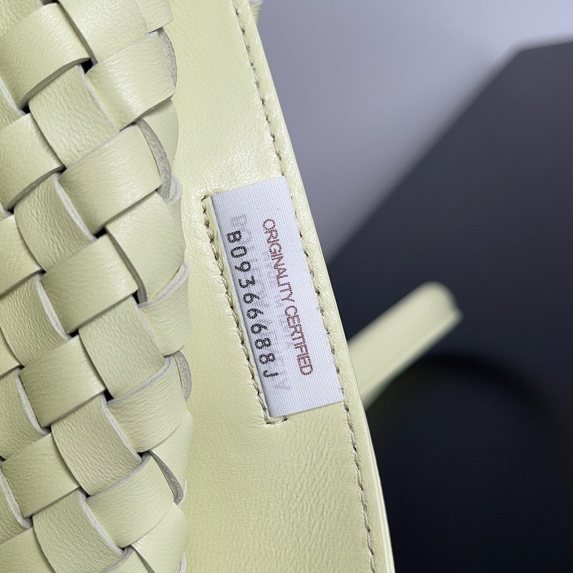 Bottega Veneta Large Cabat in  Zest Washed