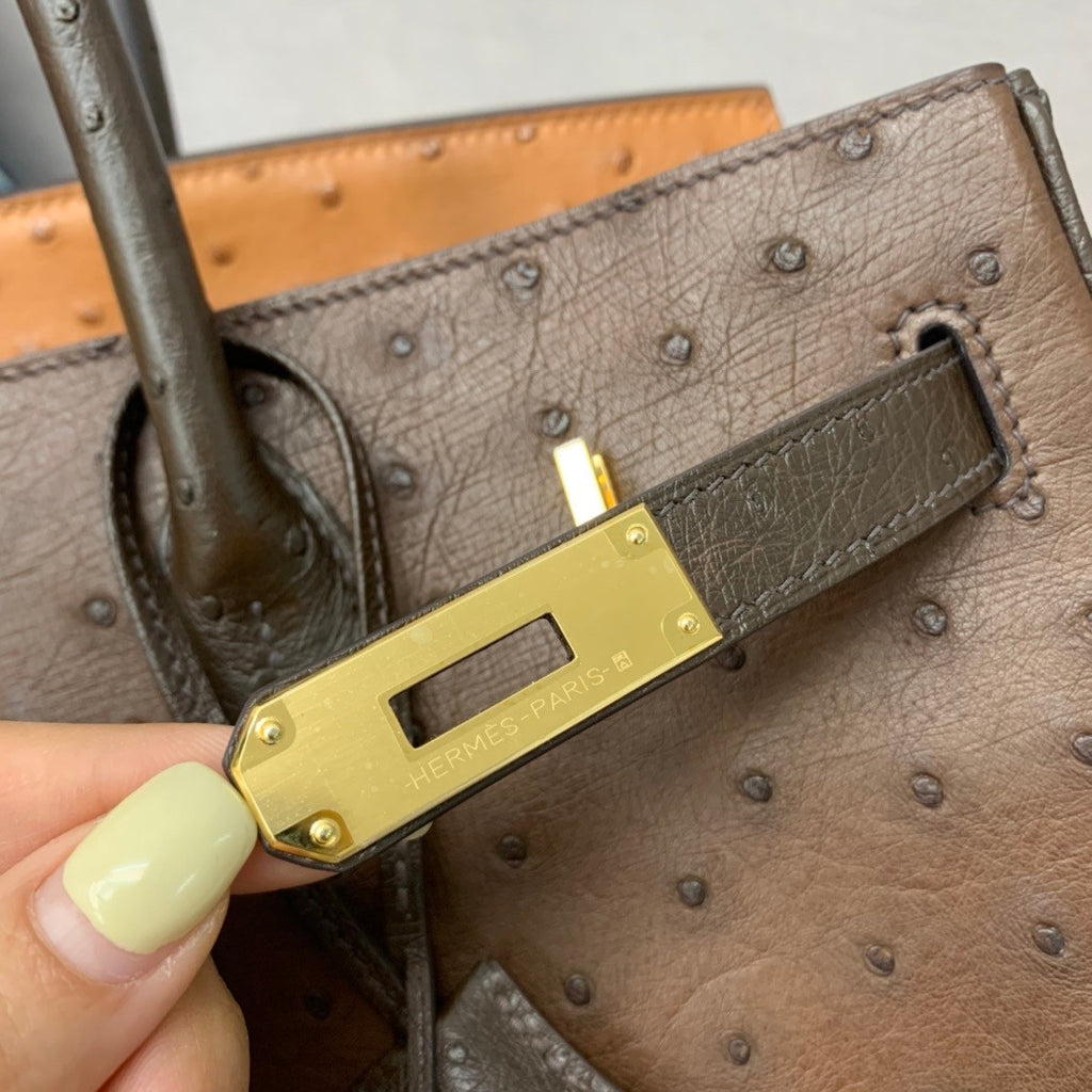 Hermès Special Order Horseshoe Ostrich Birkin 35 GHW 37Gold/47Chocolate/46 Ebene
