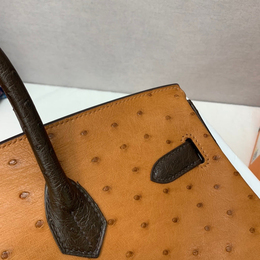 Hermès Special Order Horseshoe Ostrich Birkin 35 GHW 37Gold/47Chocolate/46 Ebene