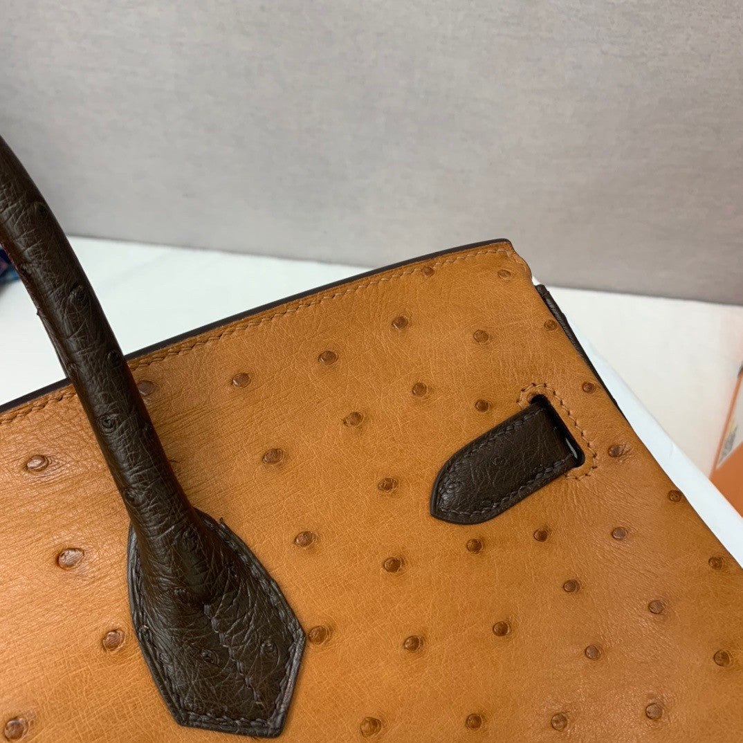 Hermès Special Order Horseshoe Ostrich Birkin 35 GHW 37Gold/47Chocolate/46 Ebene