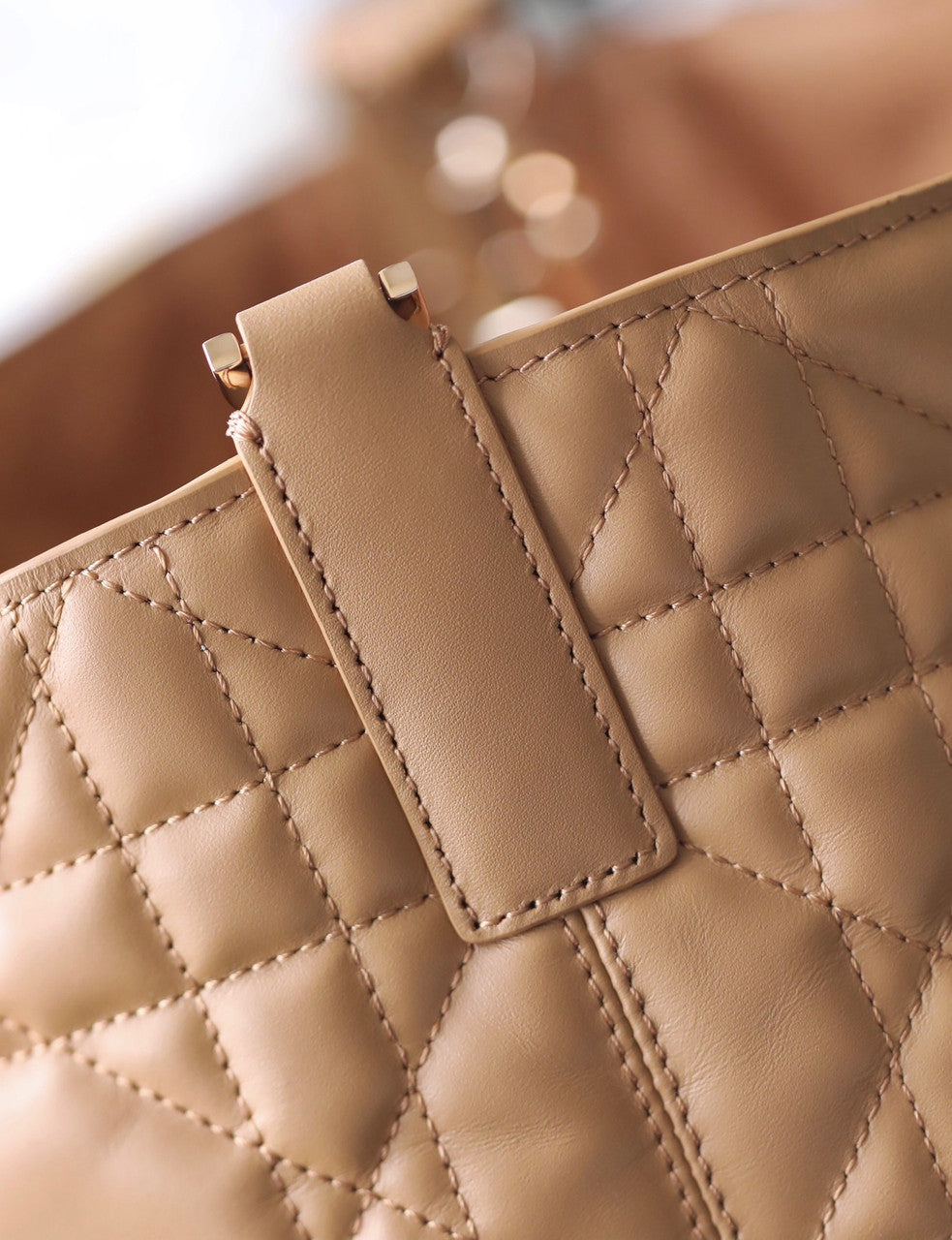 Christian Dior Toujours medium bag Medium roasted Macrocannage calfskin