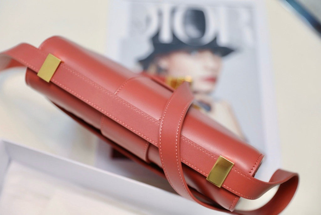 Christian Dior 30 MONTAIGNE CALFSKIN BAG GOLDEN SADDLE 2024