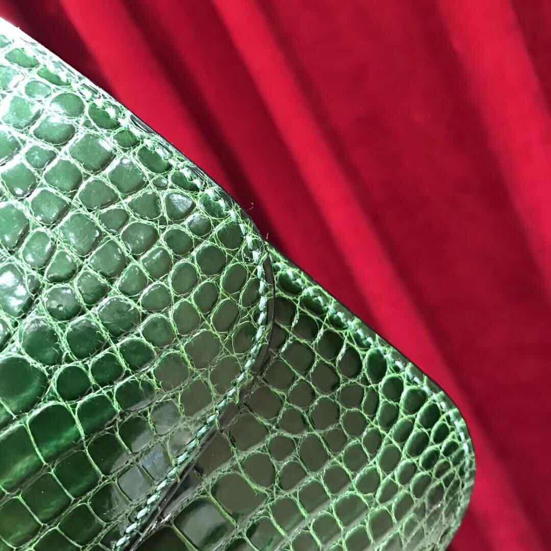 Hermes 1L Cacti Green Crocodile Shiny Leather  Constance 18 Bag with 18-karat white gold and diamond