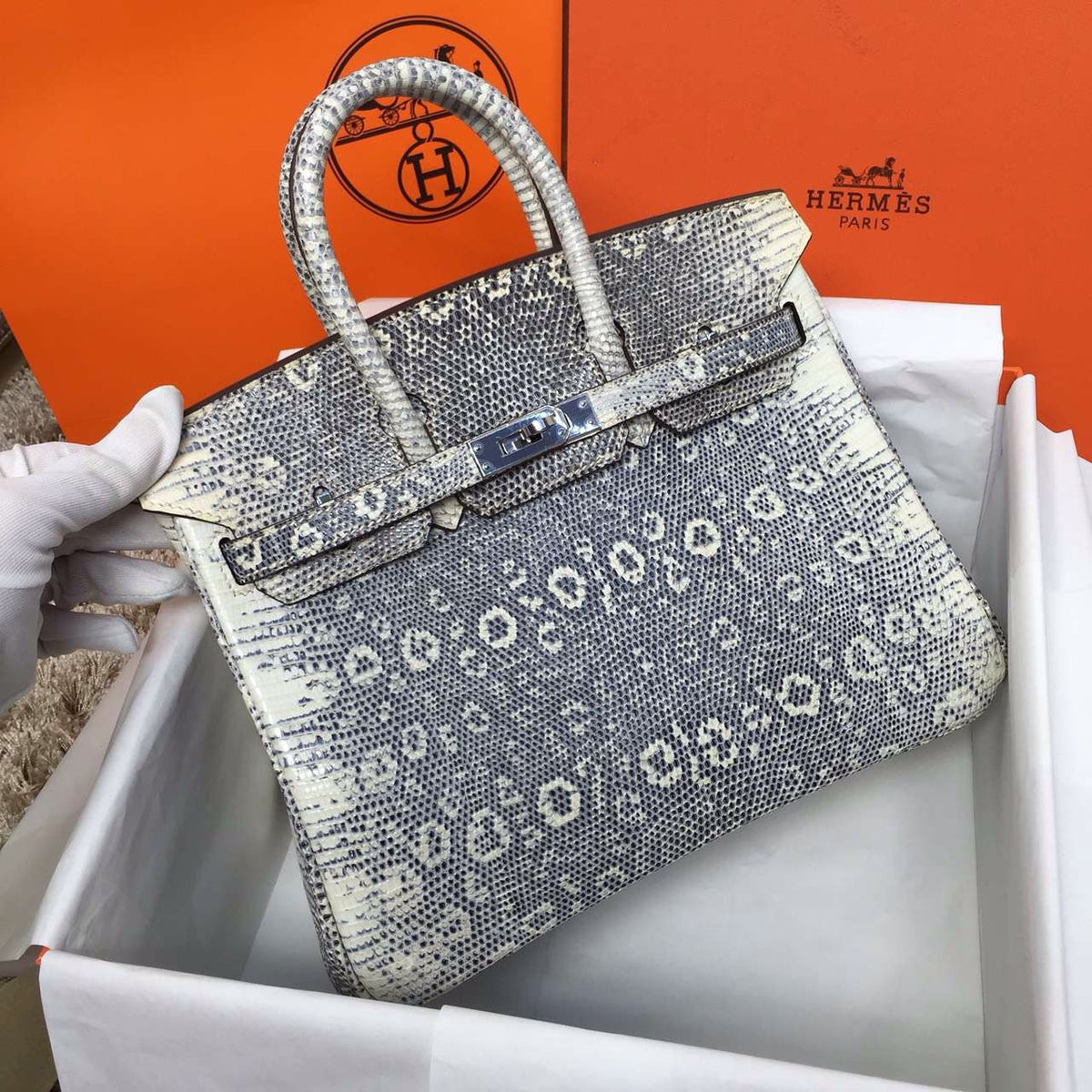 Hermes Lizard Birkin Bag 25cm Palladium Hardware