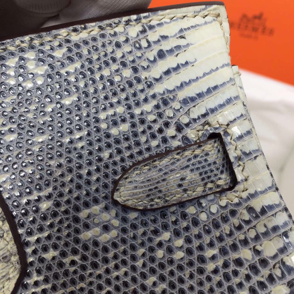 Hermes Lizard Birkin Bag 25cm Palladium Hardware