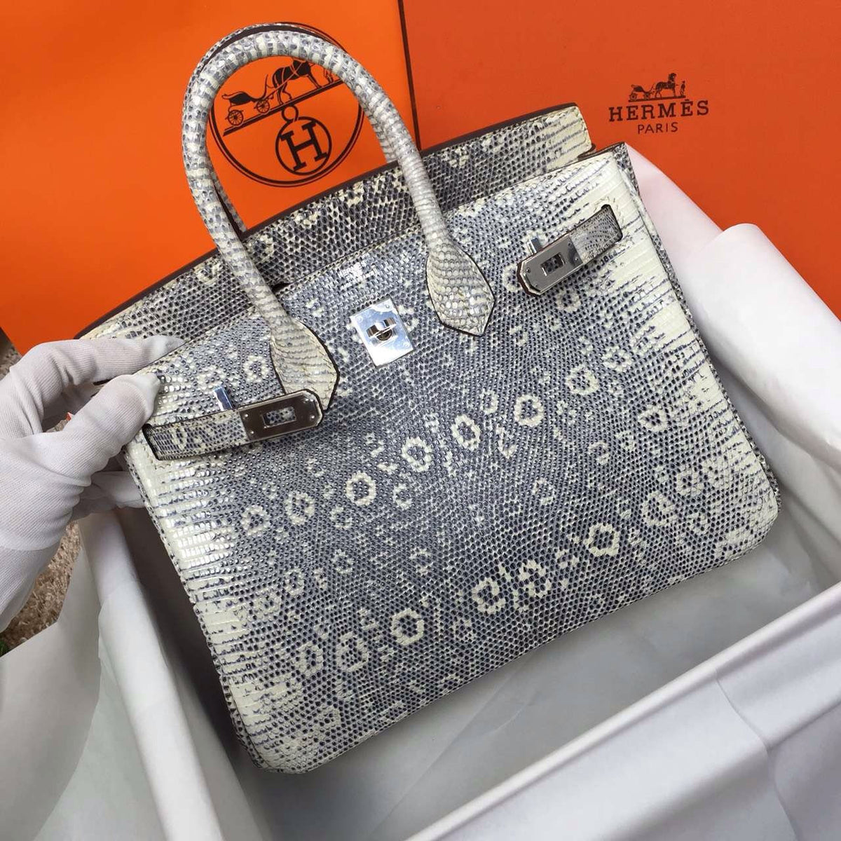 Hermes Lizard Birkin Bag 25cm Palladium Hardware