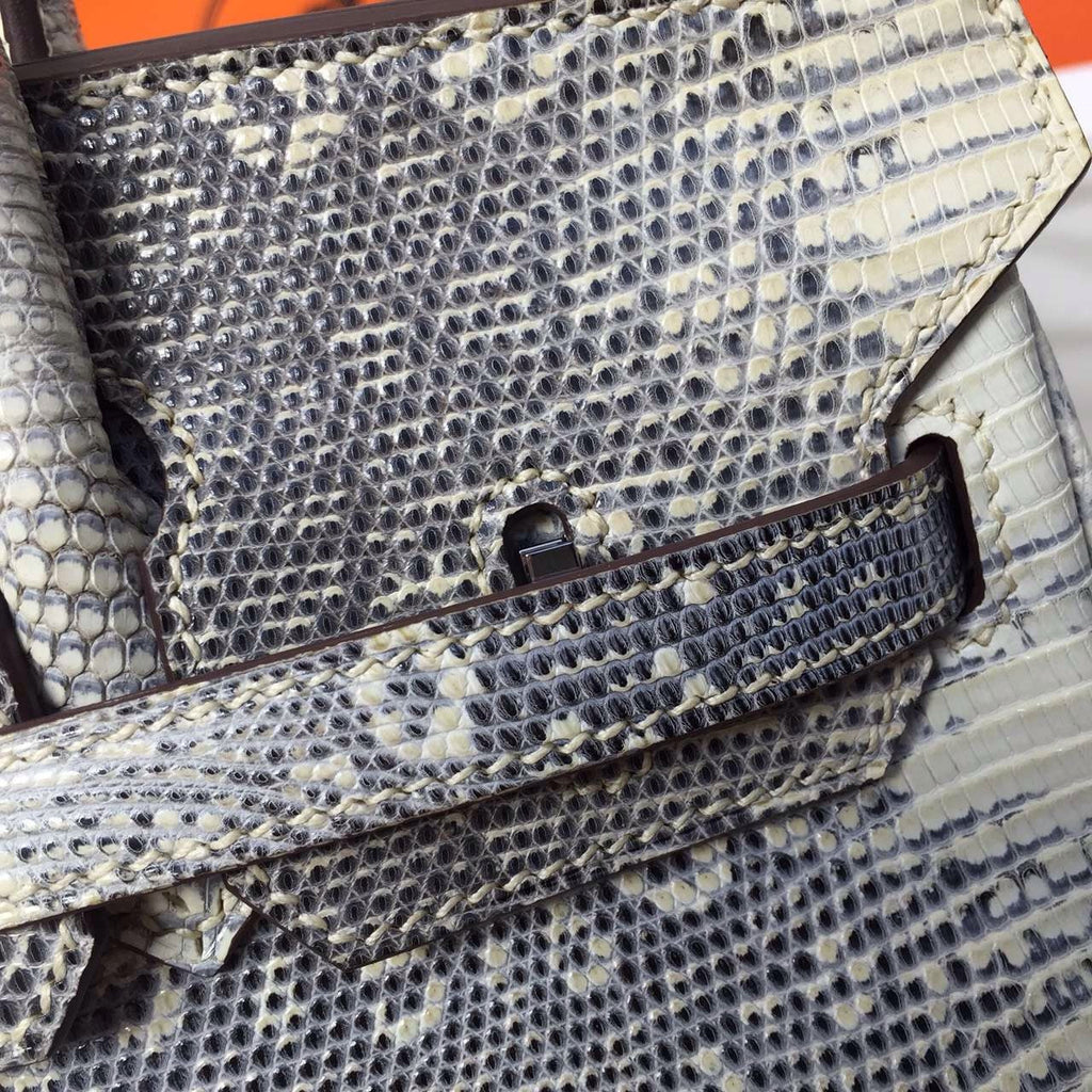 Hermes Lizard Birkin Bag 25cm Palladium Hardware