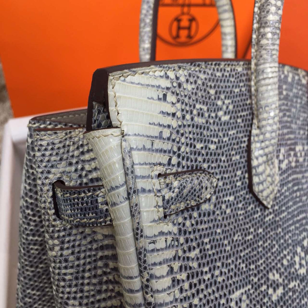Hermes Lizard Birkin Bag 25cm Palladium Hardware