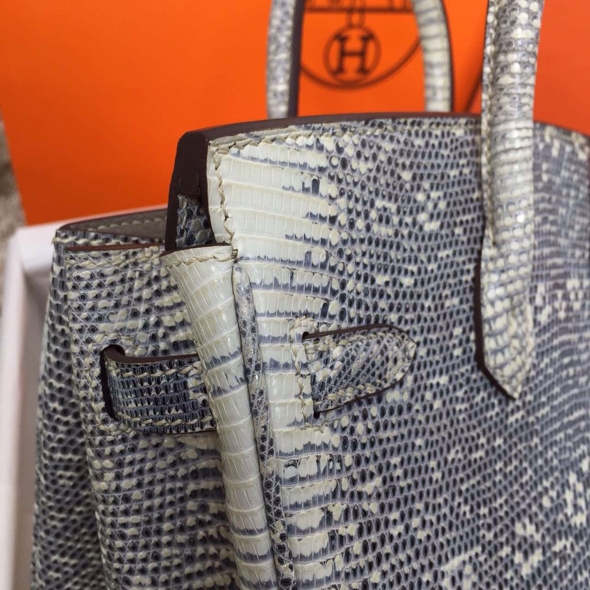 Hermes Lizard Birkin Bag 25cm Palladium Hardware