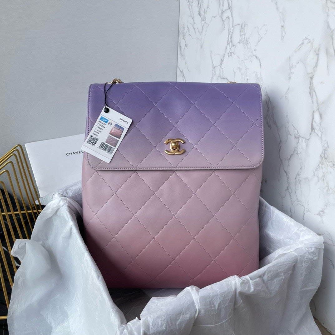 Chanel SS2024 LARGE HOBO BAG PURPLE
