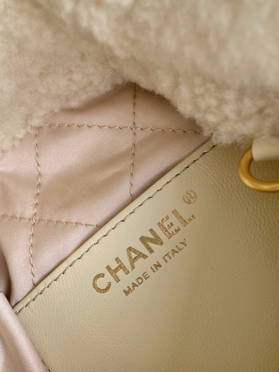 Chanel FALL-WINTER 2024/25   CHANEL 22 MINI HANDBAG   Shearling Lambskin Chanel