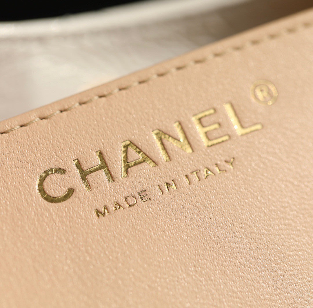 Chanel Cruise 2023 SMALL HOBO BAG WHITE