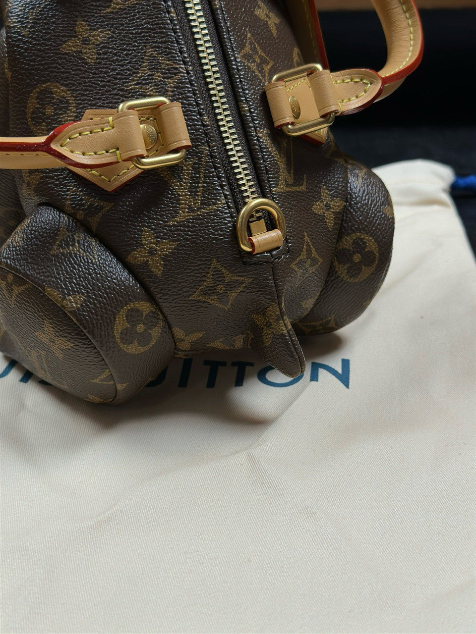 Louis Vuitton M12617 Pooch Bag Louis Vuitton